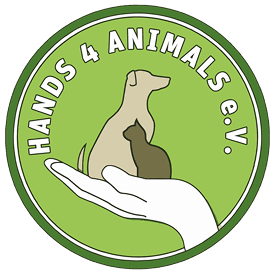 Hands 4 Animals